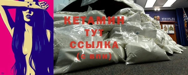 индика Богданович