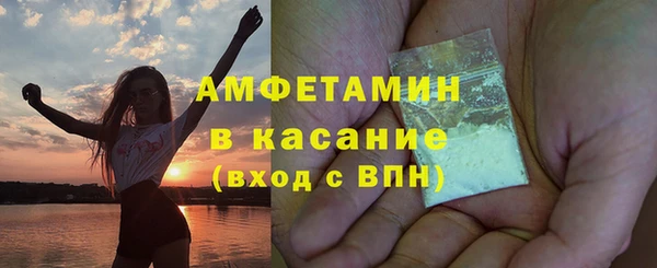 индика Богданович