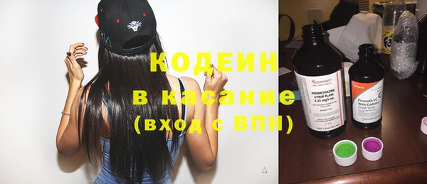 индика Богданович
