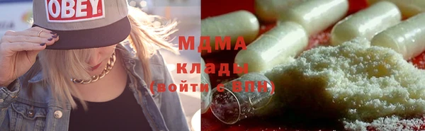 индика Богданович