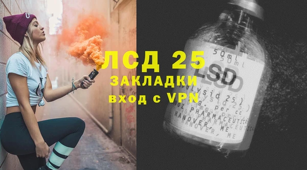 индика Богданович
