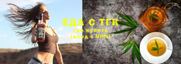 индика Богданович