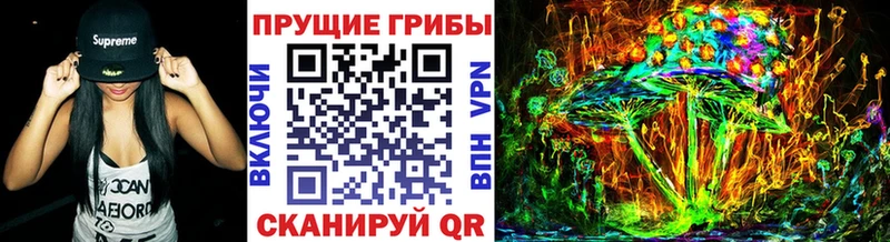Псилоцибиновые грибы ЛСД  Дигора 