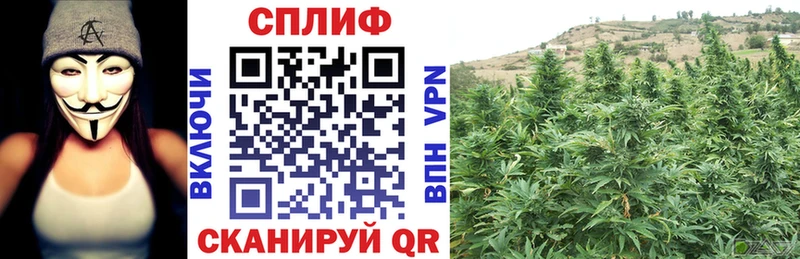 МАРИХУАНА VHQ мориарти клад Дигора где найти наркотики